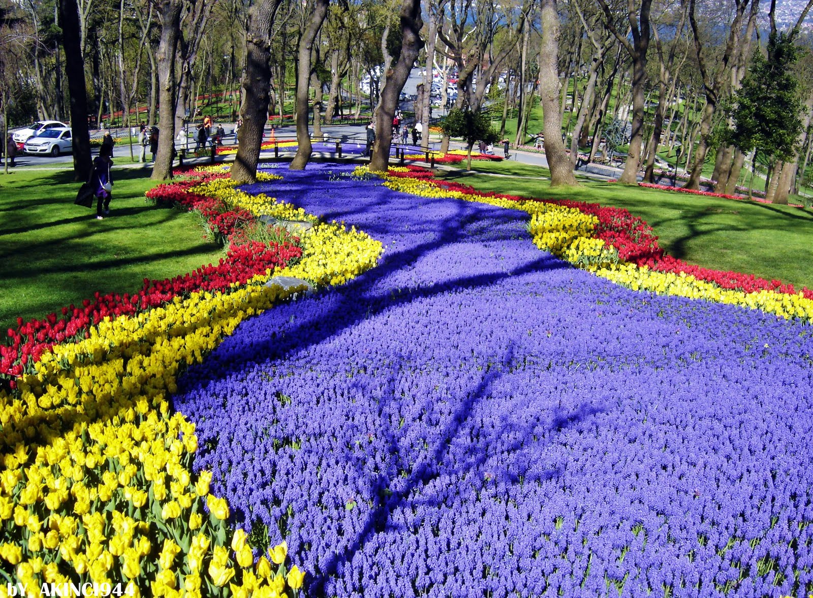 istanbul tulip festival in emirgan esans hotel istanbul old city event and news traditional hotel sultanahmet old city istanbul istanbul tulip festival in emirgan esans hotel istanbul old city event and news traditional hotel sultanahmet old city istanbul